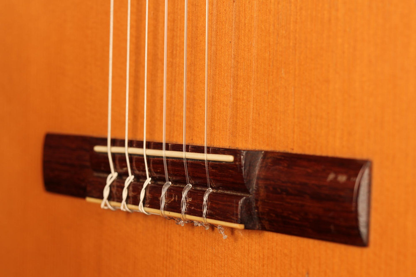 Martin Jacob - circa.1960