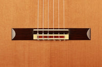 Michael Gee - 2013 Doubletop