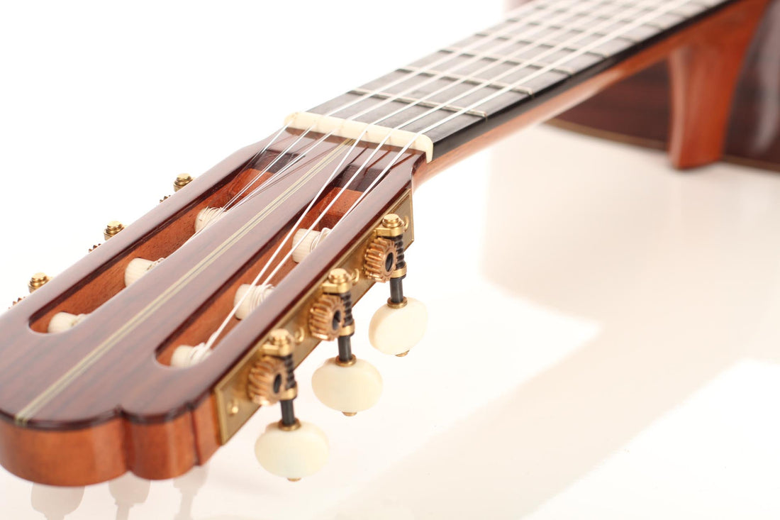 Nicolaus Wollf  - 2016