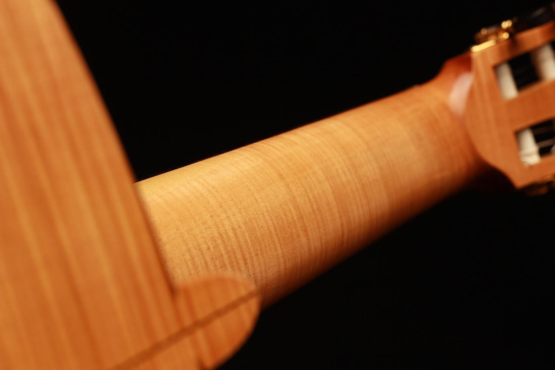 Nicolaus Wollf - 1993