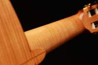 Nicolaus Wollf - 1993