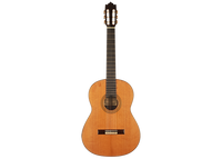 Paulino Bernabé - 1995