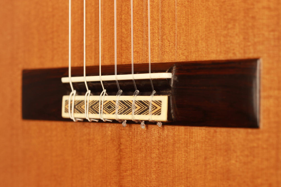 Paulino Bernabé - 1995