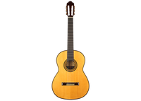 Paulino Bernabe - 2009 M10