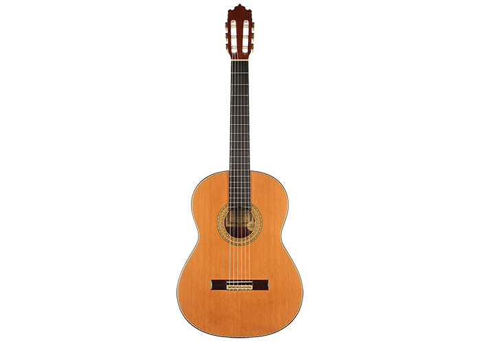 Paulino Bernabé - 2013 Especial Goldmedaille