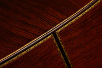 Paulino Bernabé - 2013 Especial Goldmedaille