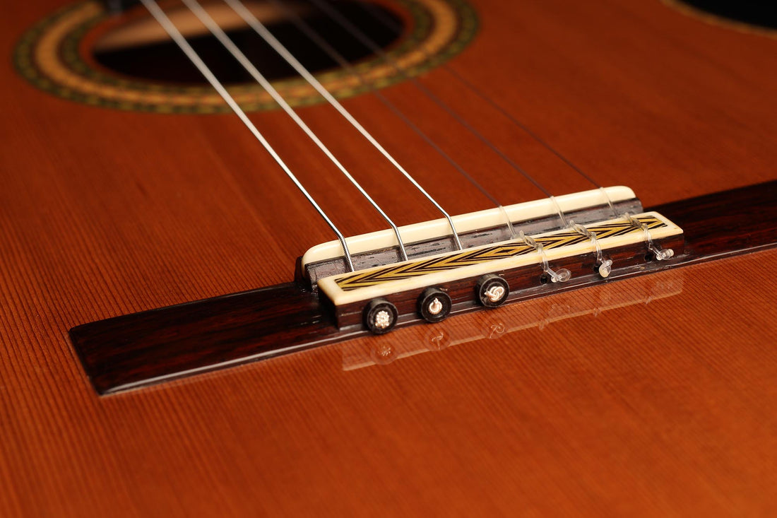 Paulino Bernabé - 2013 Especial Goldmedaille