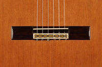 Paulino Bernabé - 2013 Especial Goldmedaille