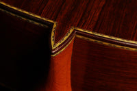 Paulino Bernabé - 2013 Especial Goldmedaille