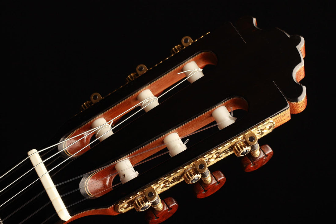 Paulino Bernabe - 2019 Concierto