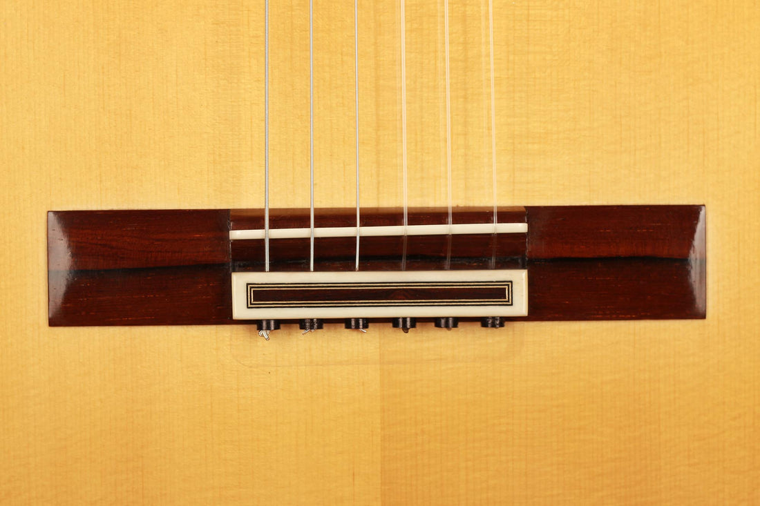 Paulino Bernabe - 2019 Concierto