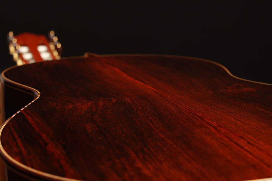 Paulino Bernabe - 2019 Concierto