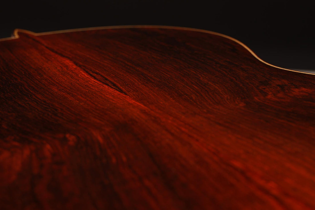 Paulino Bernabe - 2019 Concierto