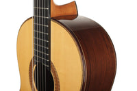 Paulino Bernabé - 2020 Concierto