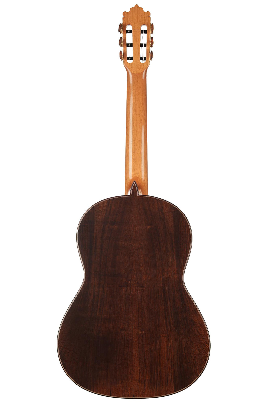 Paulino Bernabé - 2020 Concierto