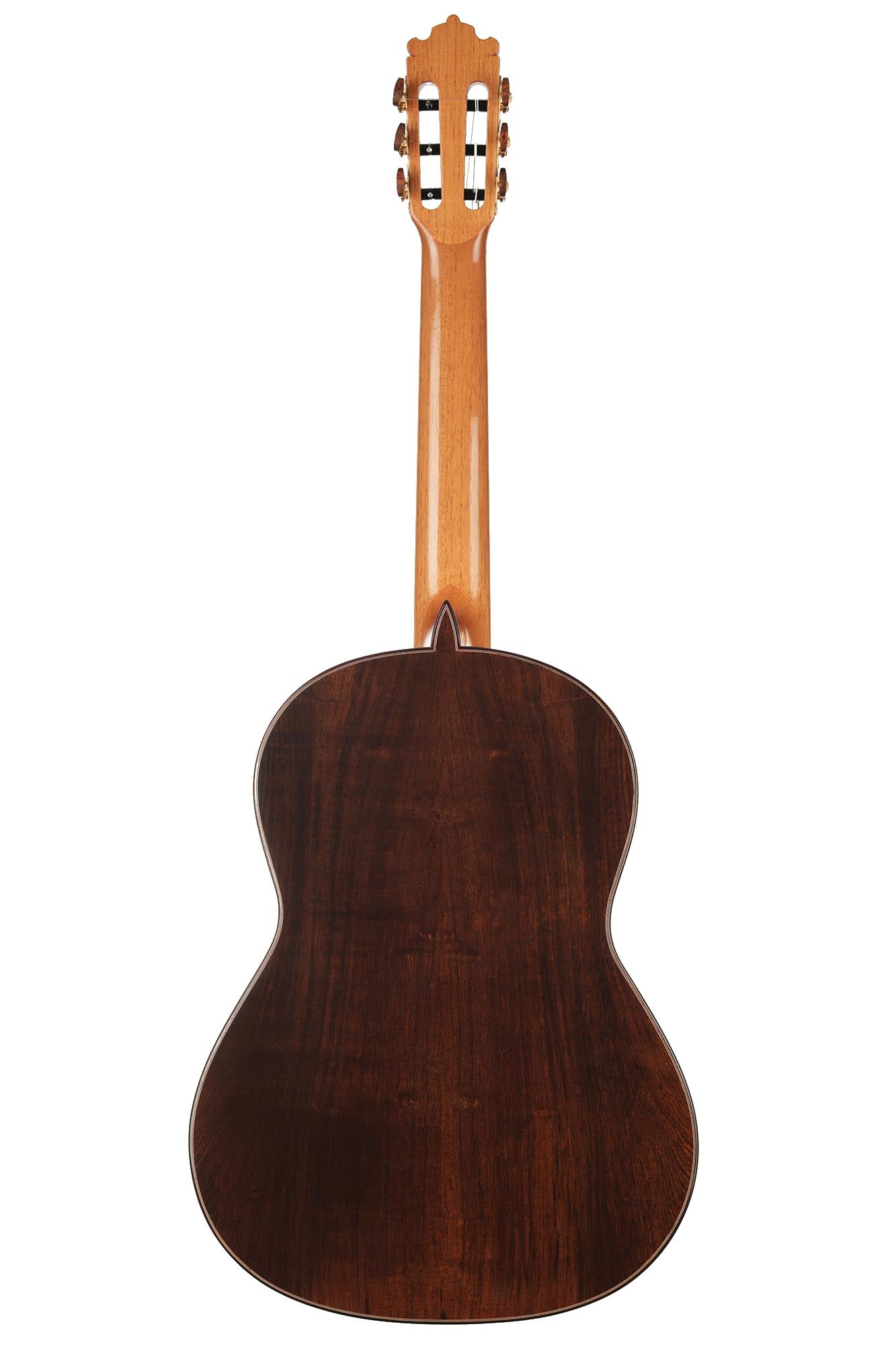 Paulino Bernabé - 2020 Concierto