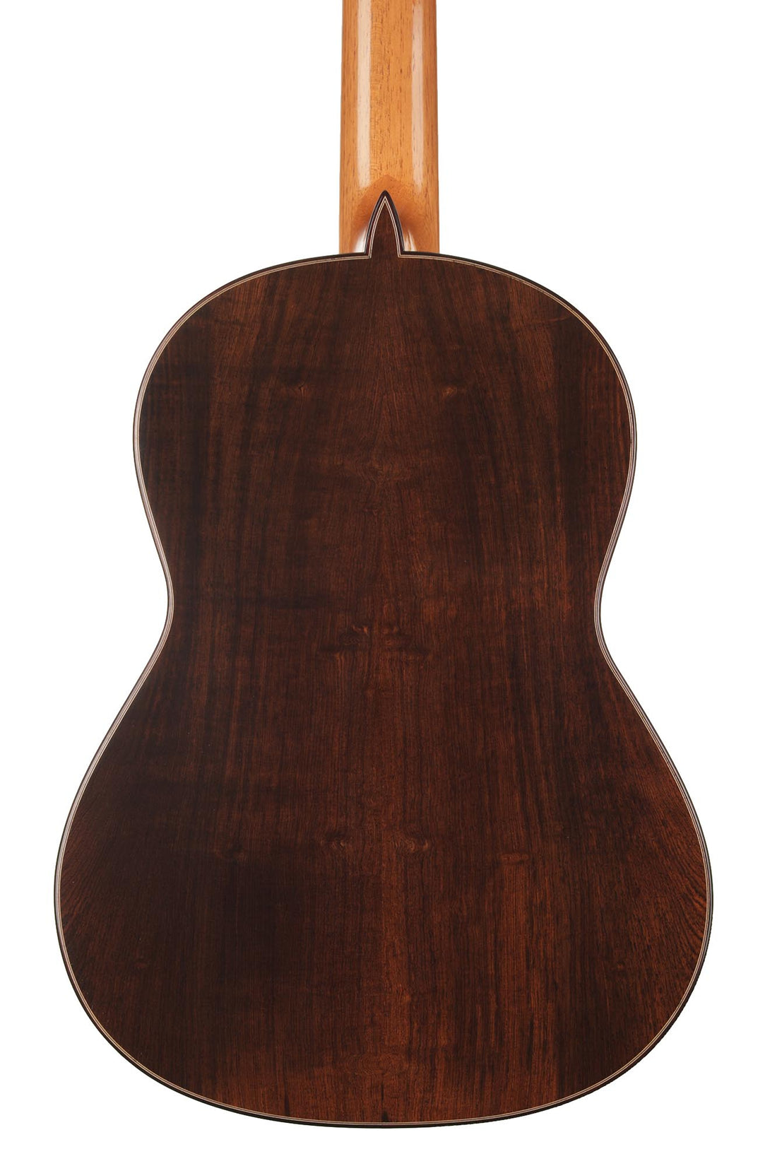 Paulino Bernabé - 2020 Concierto