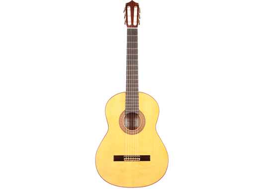 Pedro Muriel - Flamenca 2017 CF