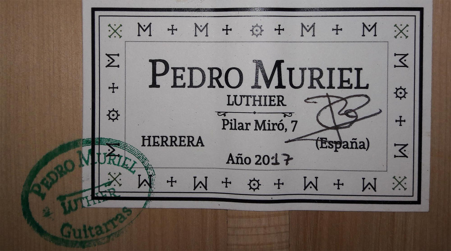 Pedro Muriel - Flamenca 2017 CF