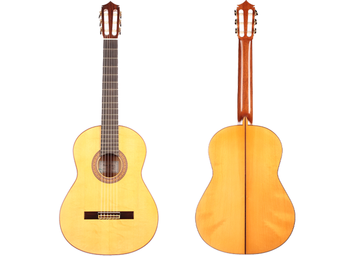 Pedro Muriel - Flamenca 2017 CF