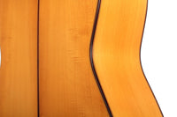 Pedro Muriel - Flamenca 2017 CF