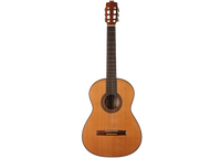 Rafael Moreno - 2016 CF