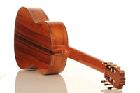 Rafael Moreno - 2016 CF