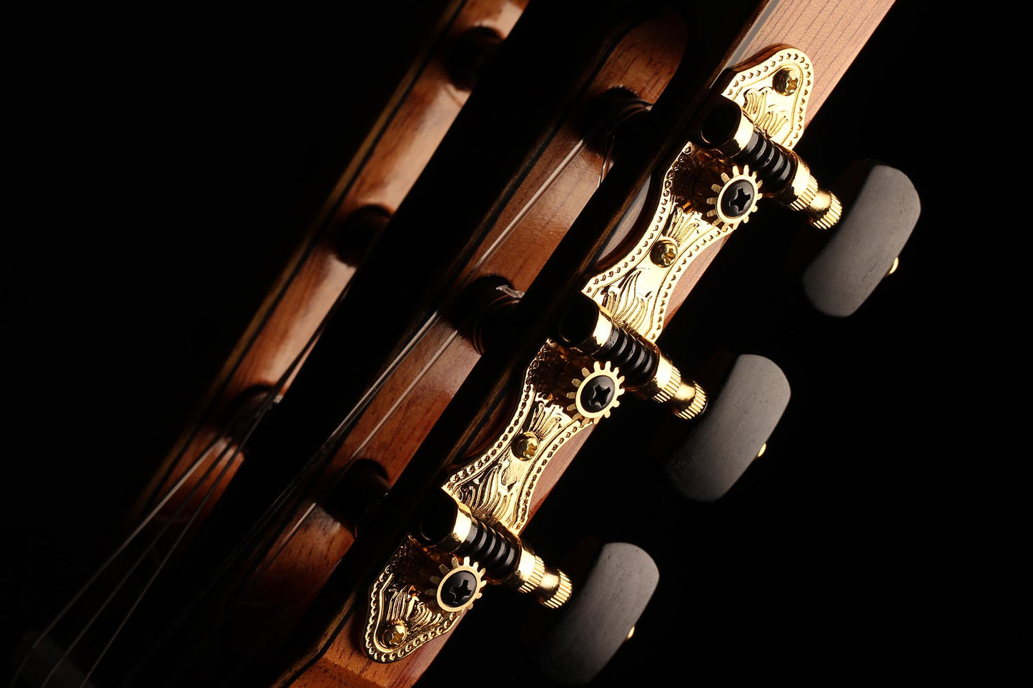 Raimundo - Tatyana Ryzhkova Signature