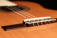 Raimundo - Tatyana Ryzhkova Signature