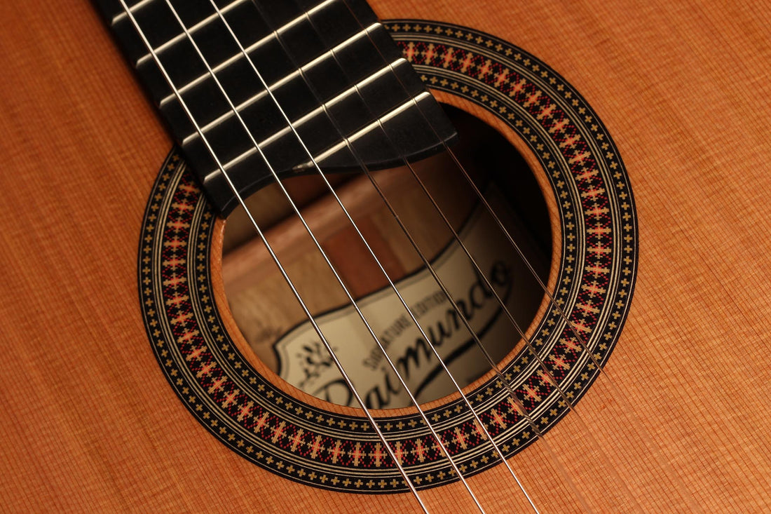 Raimundo - Tatyana Ryzhkova Signature