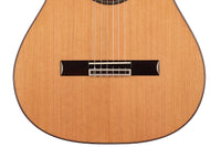 Raimundo - Tatyana Ryzhkova Signature