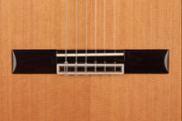 Raimundo - Tatyana Ryzhkova Signature