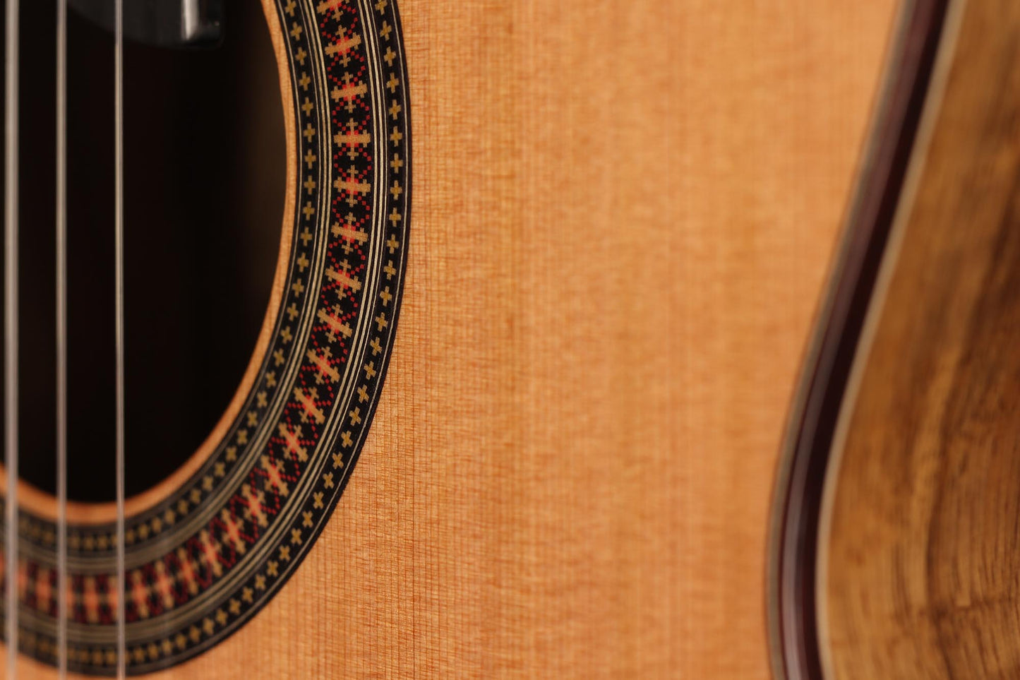 Raimundo - Tatyana Ryzhkova Signature