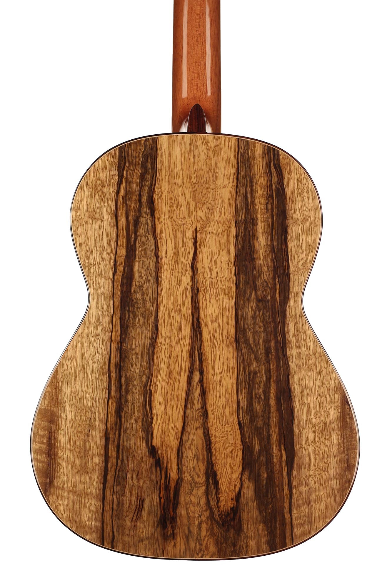 Raimundo - Tatyana Ryzhkova Signature