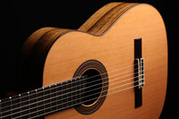 Raimundo - Tatyana Ryzhkova Signature