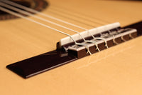 Raimundo - Tatyana Ryzhkova Signature