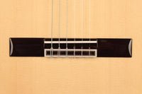 Raimundo - Tatyana Ryzhkova Signature