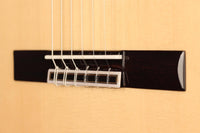 Raimundo - Tatyana Ryzhkova Signature