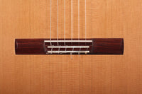 René Baarslag - 2017 CF