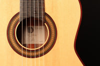 Richard Newman - "Lemoni" 2013