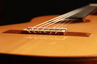 Rolf Eichinger - 2006 64cm