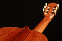 Rolf Eichinger - 2006 64cm