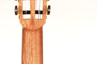 Roy Fankhänel - Torres 2018