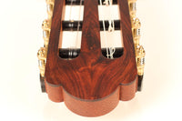 Roy Fankhänel - Torres 2018