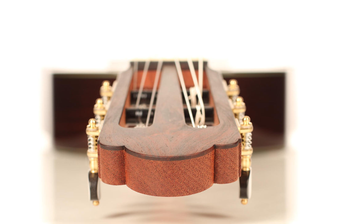 Roy Fankhänel - Torres 2018