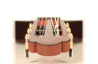 Roy Fankhänel - Torres 2018