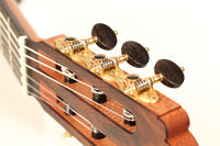 Roy Fankhänel - Torres 2018