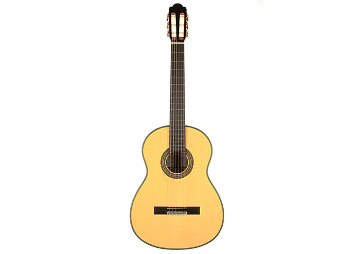 Roy Fankhänel - 2019 RF 196 64cm