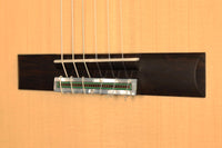 Roy Fankhänel - 2019 RF 196 64cm