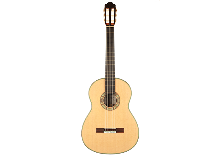Roy Fankhänel - 2019 RF 197 64cm